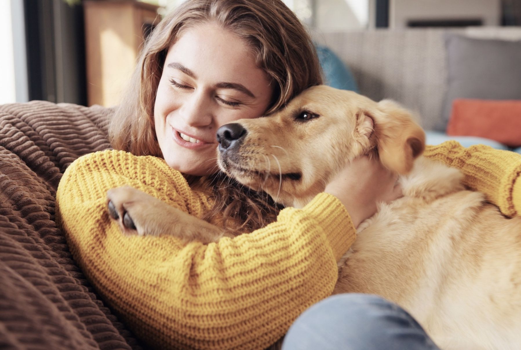Pet-Friendly Interiors: Designing for Every Member of the Home