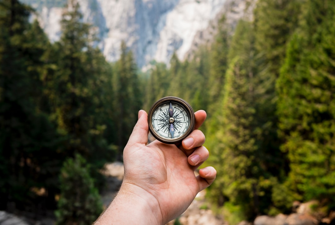 A photo of a hand holding out a compass in front of a forested area