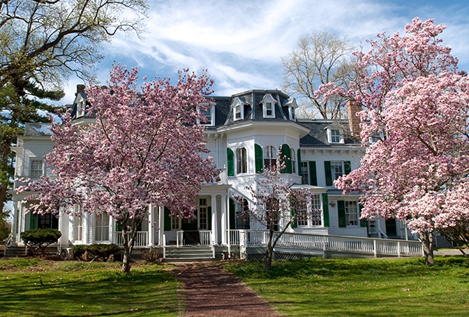 Image of a stately white Victorian house framed by pink flowering trees and a well manicured green lawn. there is a path running up to an expansive porch.