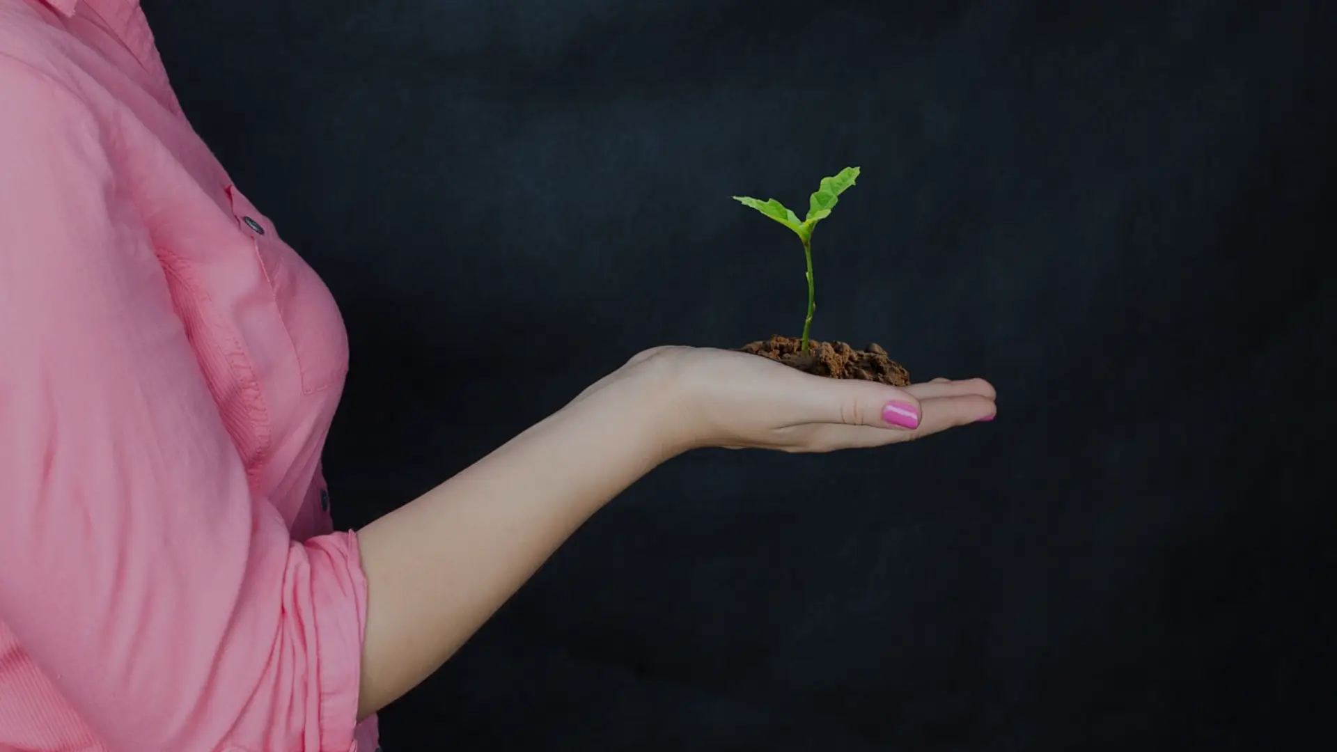 mujeres en las finanzas e inversiones blog 100 ladrillos