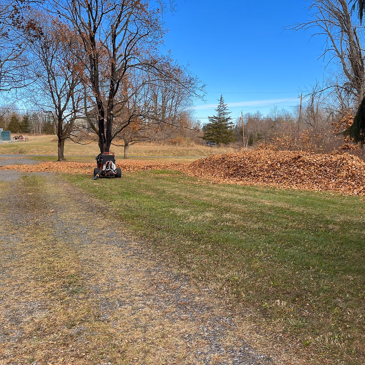 Professional lawn maintenance with mowing trimming and edging by Higher Ground Property Management LLC in Red Hook and Rhinebeck NY