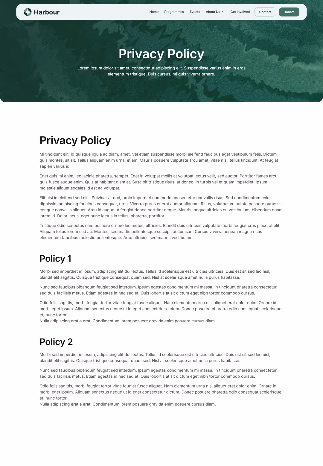 Mockup of the privacy policy page
