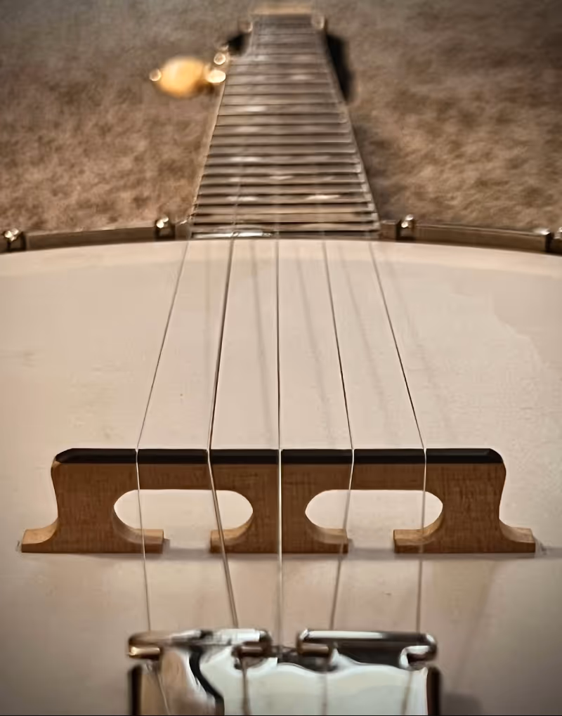Close-up of a banjo head showing strings, wooden bridge, and tailpiece on a carpeted background.