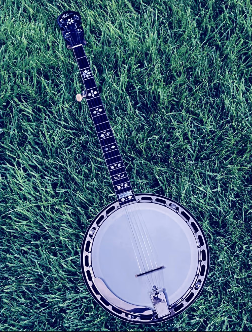 Gibson Mastertone banjo with floral inlays lying on green grass.