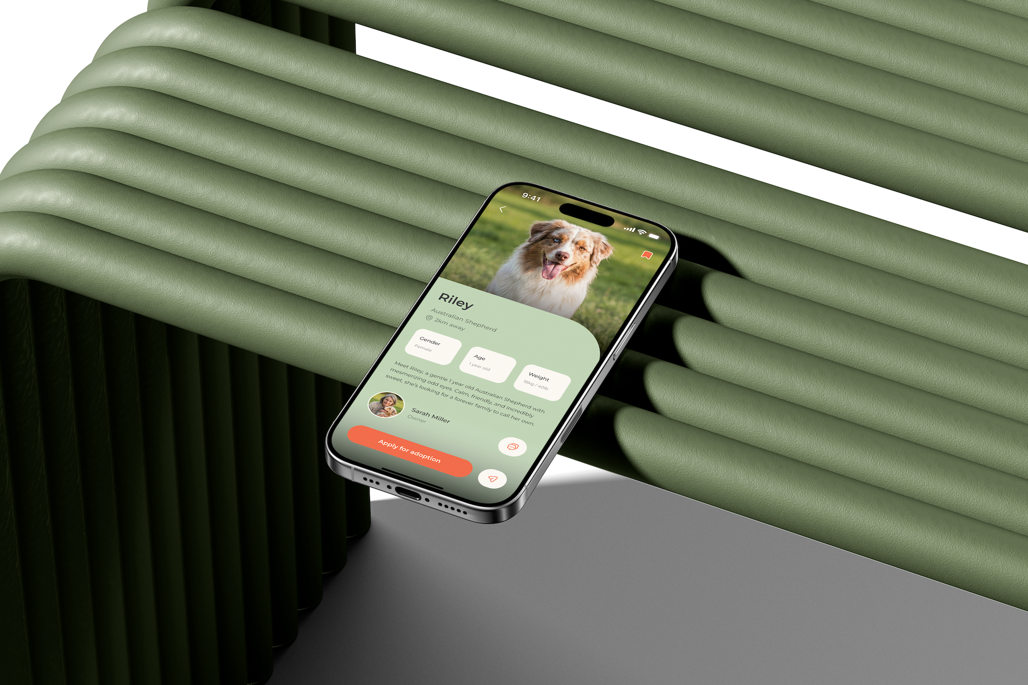 Smartphone on green bench displaying a WithPaw app featuring a happy Australian Shepherd named Riley.