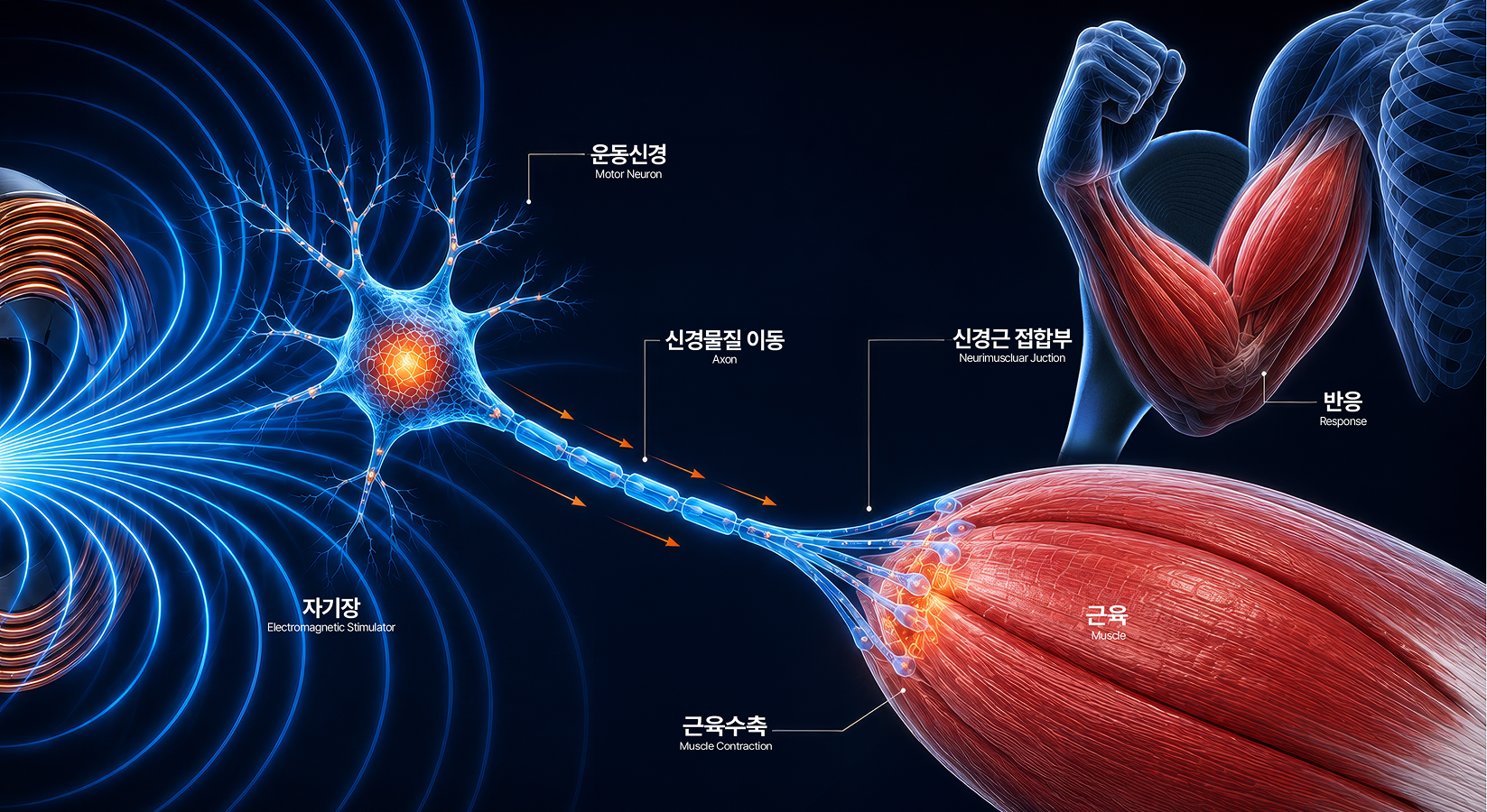 About Image