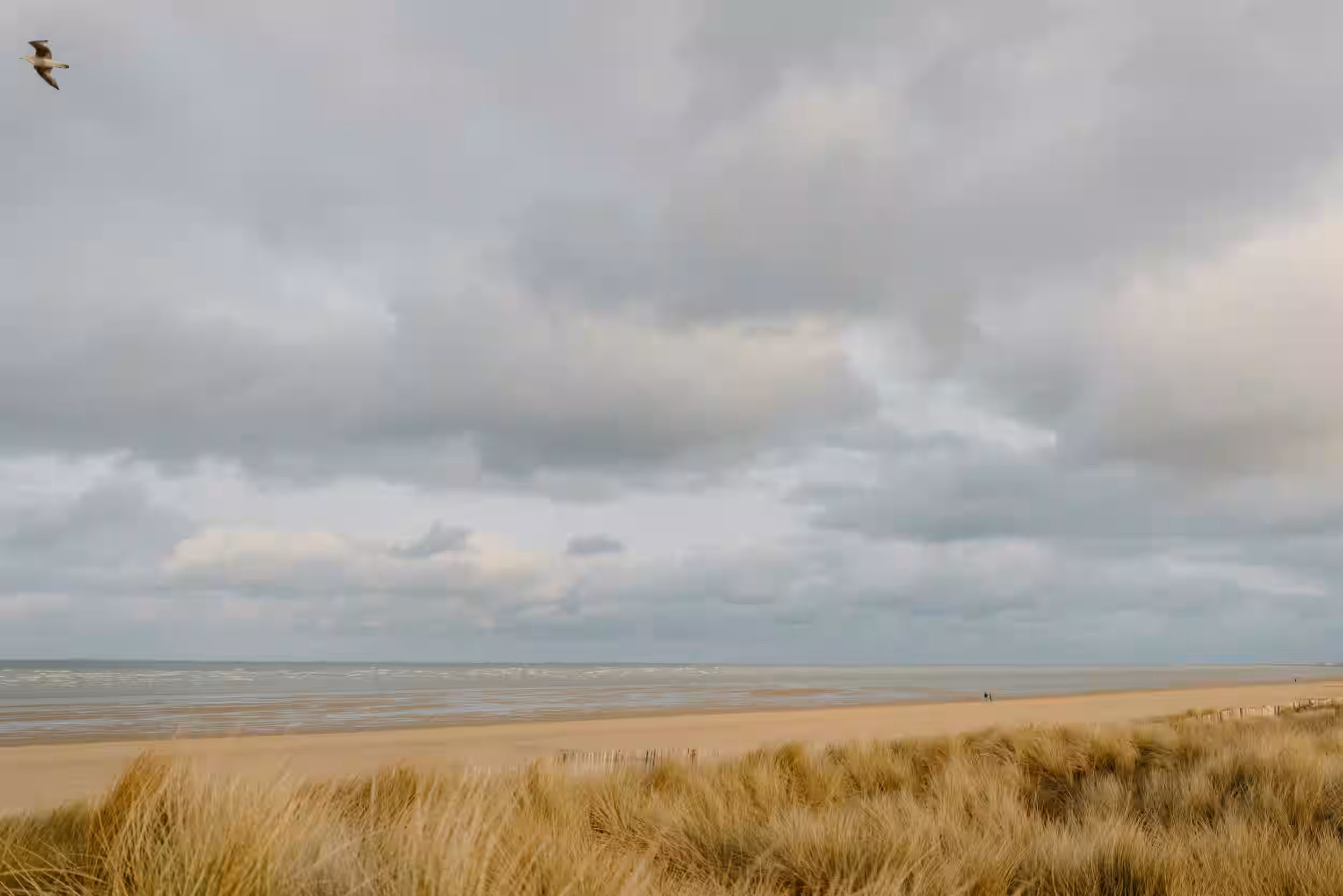 Photo d'un paysage vendéen