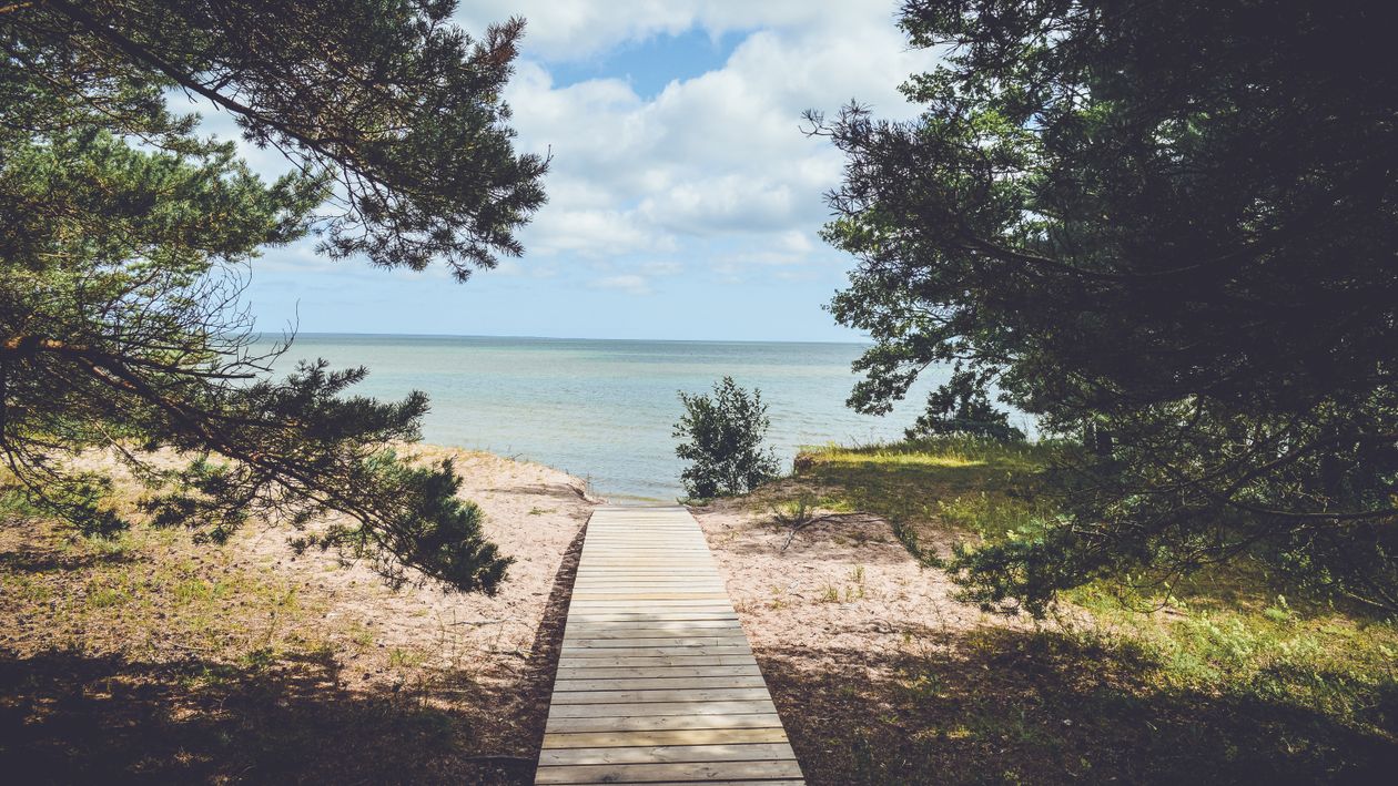 Sentier en planches accessible menant à la mer, où partir en Bretagne avec une personne à mobilité réduite