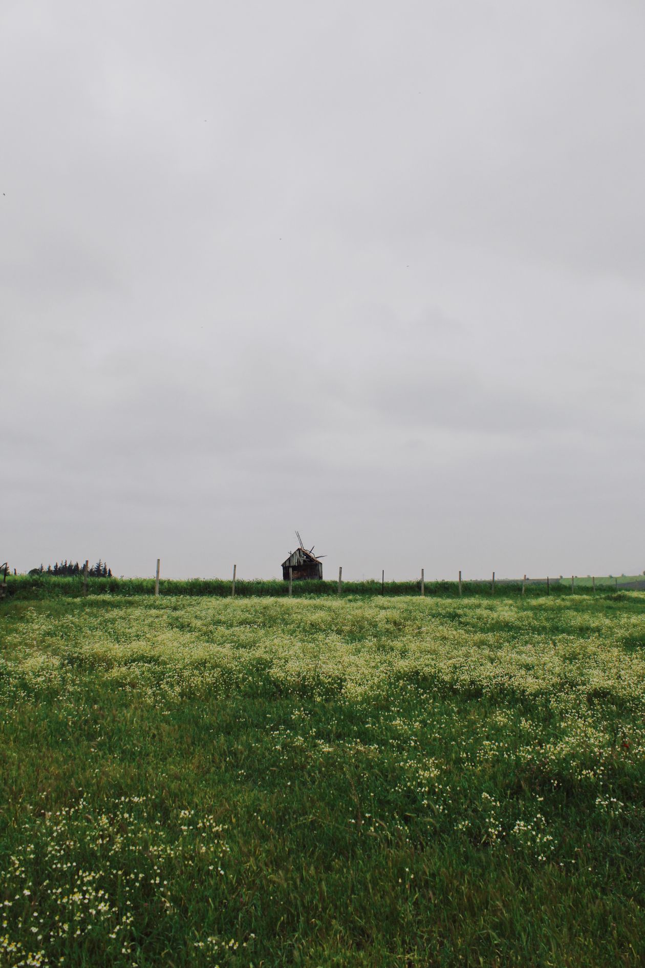 Prairie verte et fleurie sous un ciel doux — cadre nature d'un séjour au calme en Bretagne