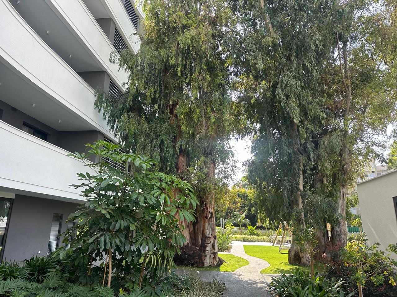 WhatsApp Image 2024-04-12 at 22.09.33_0c8a4d15.jpg