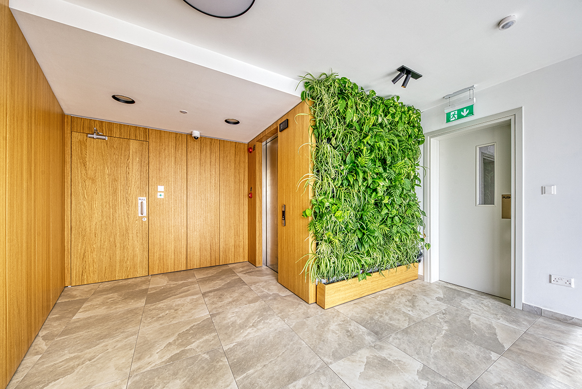 DSC06590_67 copy.jpg