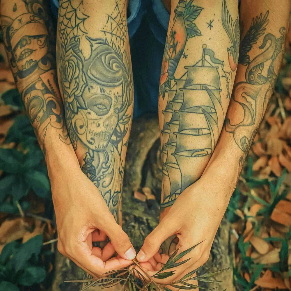 person holding green leafed plant between feet