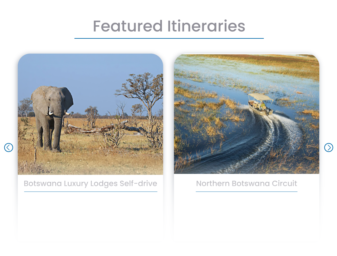 Screenshot of Wetu itineraries displayed on the Drive Botswanna website home