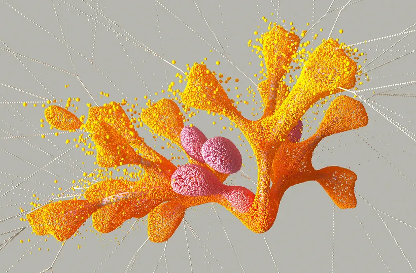 idotive-service-v3-branding