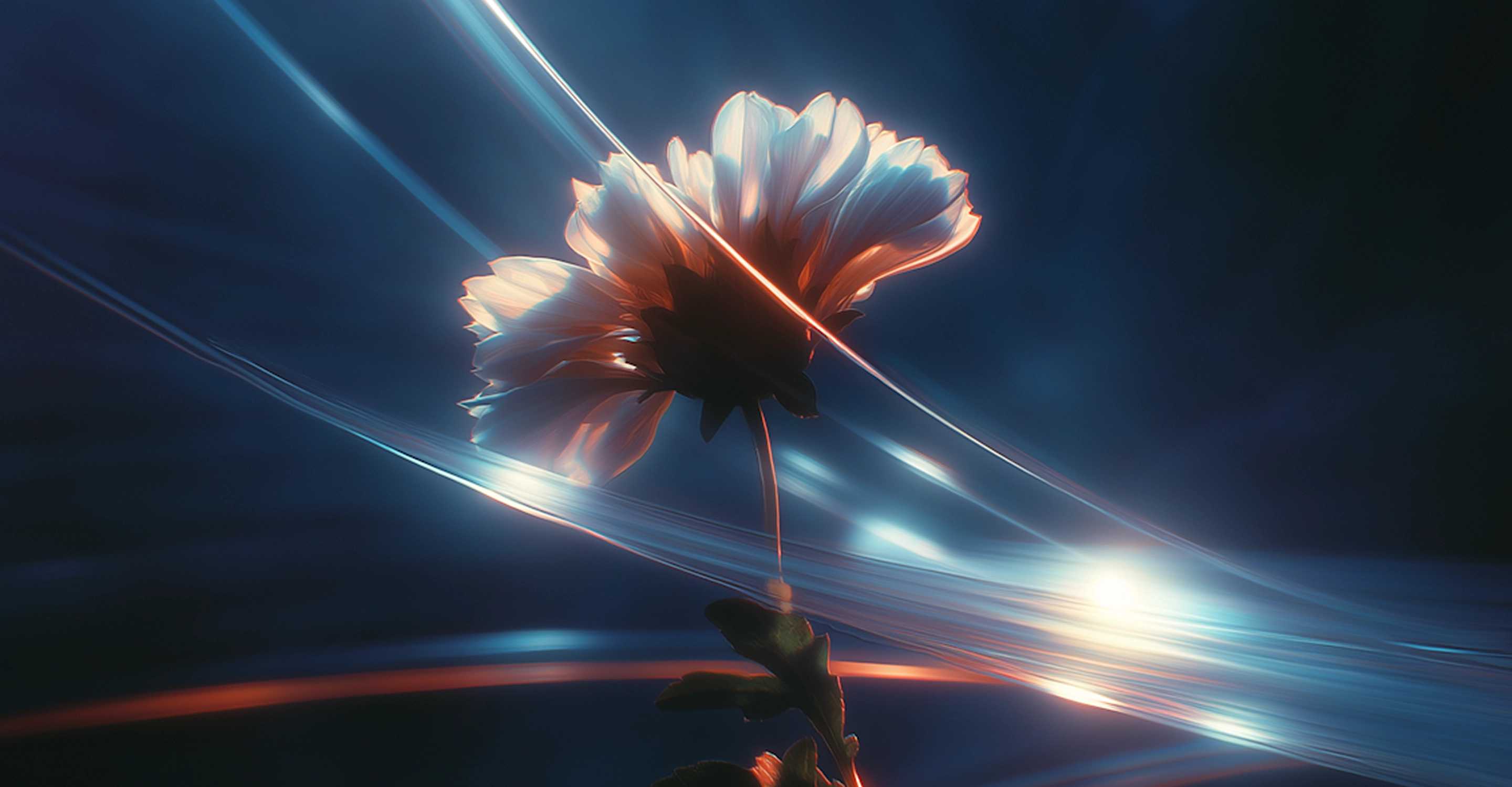 Blog details main image