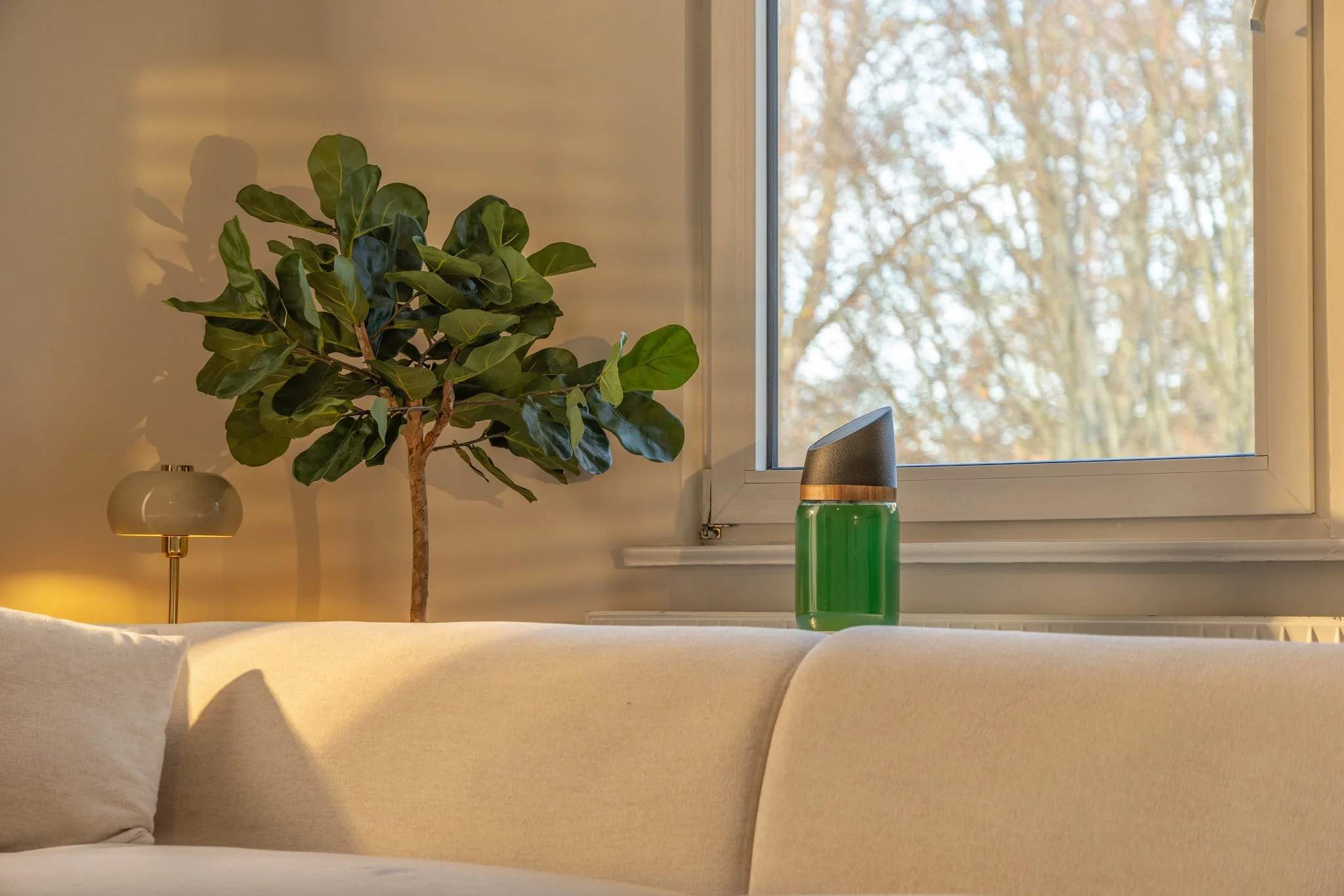Spirulina Farm auf Tisch vor einem Fenster, neben Zimmerpflanze und Leuchte hinter beige Couch.