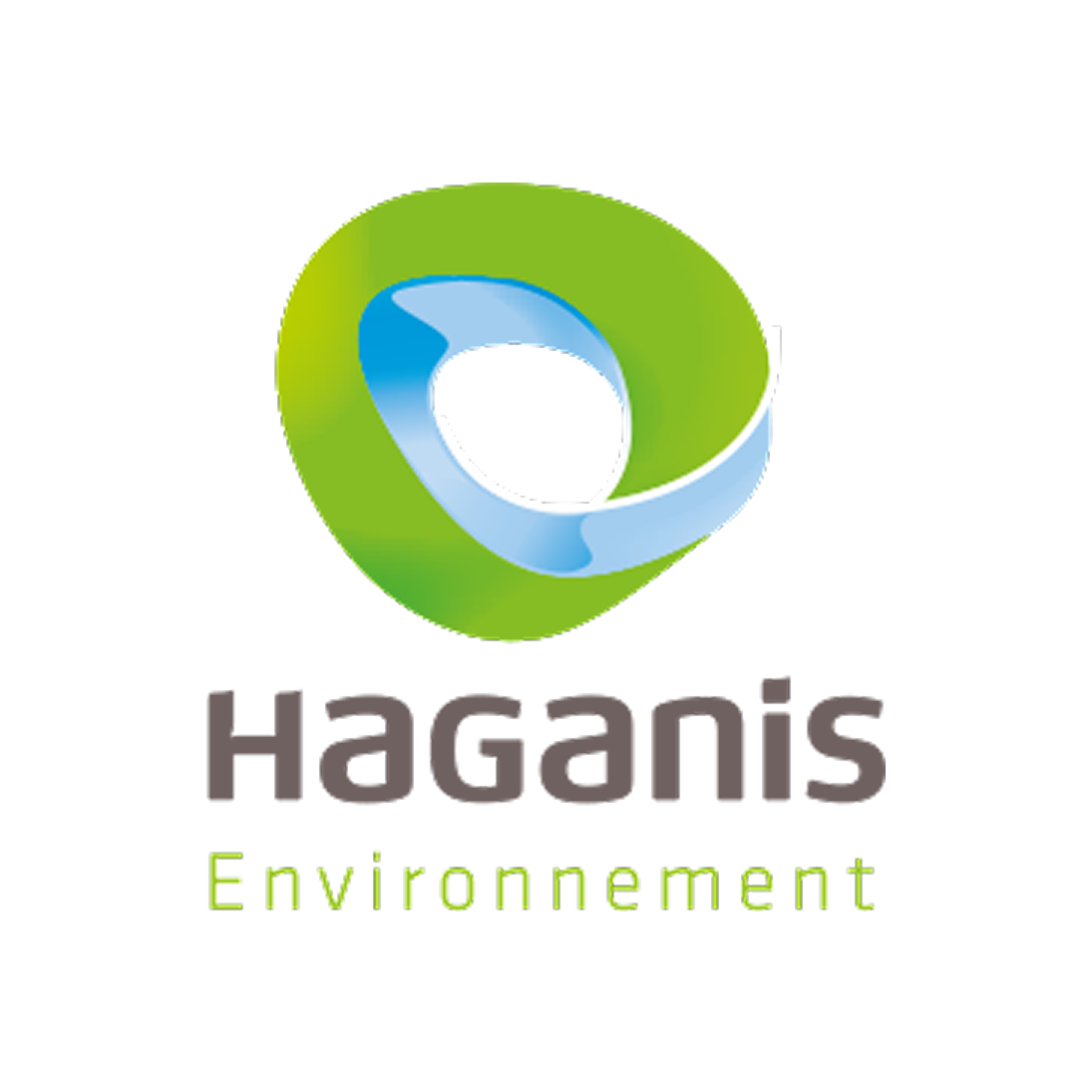 Haganis