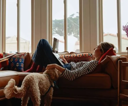 Woman lying on a couch using a laptop with a curly-haired dog next to her in a sunlit room.