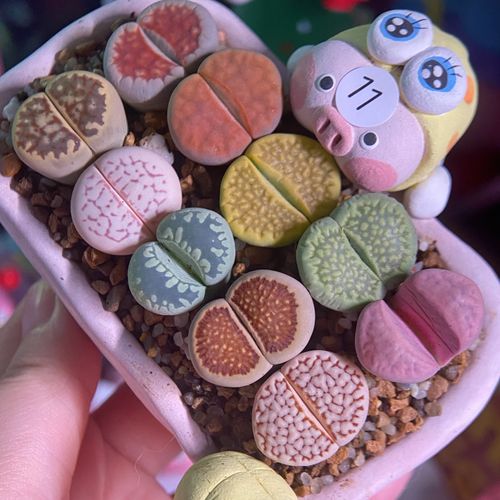 Burger with fried fries on black plate with sauce on the side