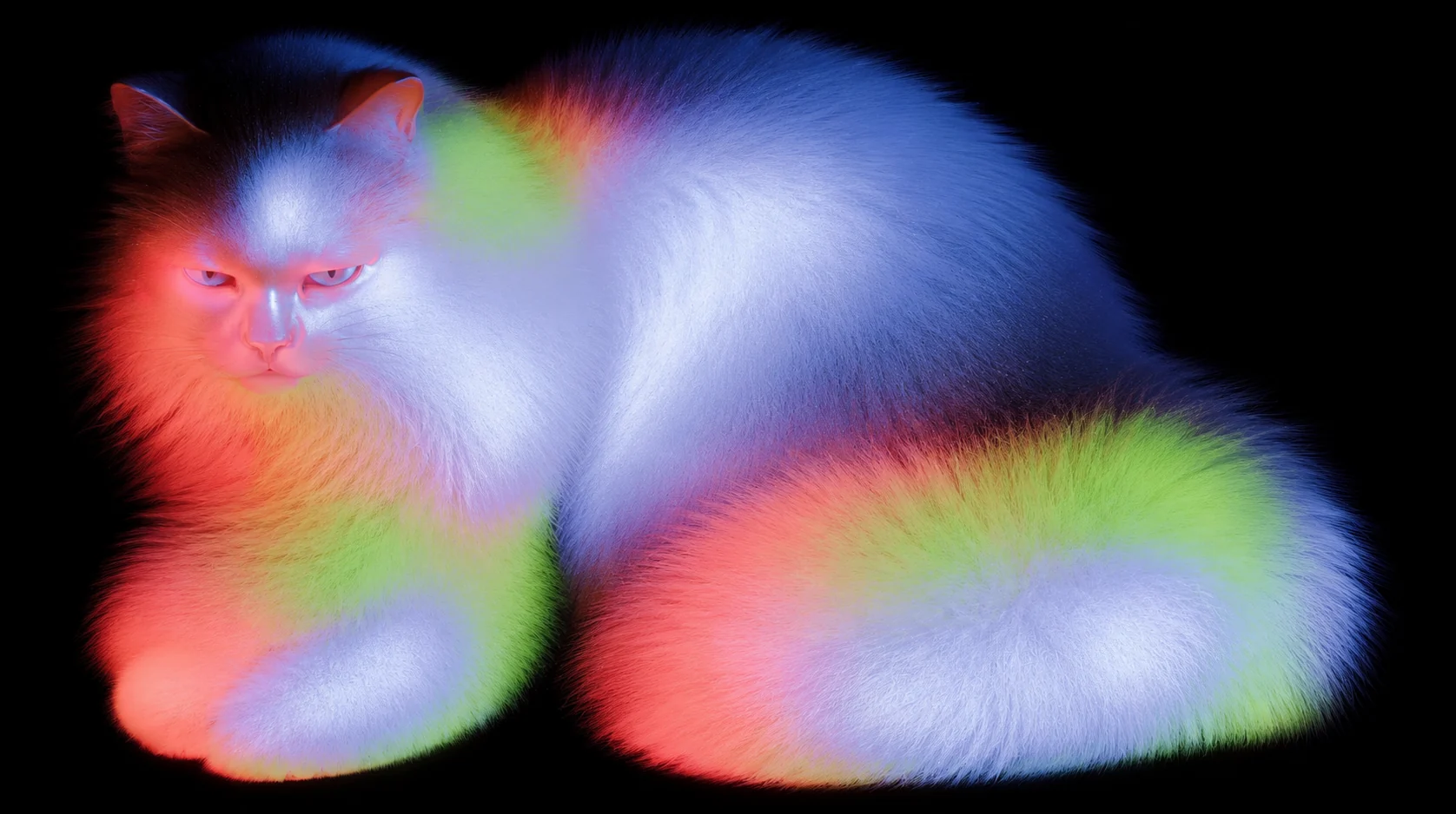 Pierre One 001, obra de Rafaela Mascaro: gato branco de pelos coloridos sobre fundo preto