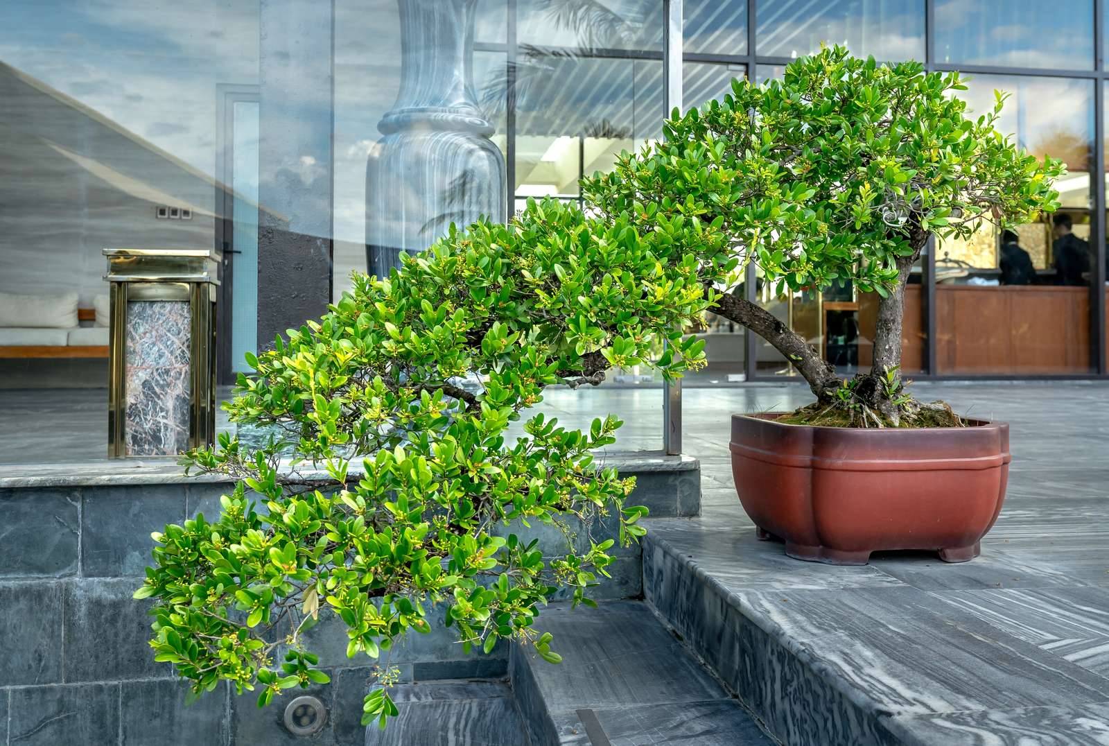 Curated bonsai and stone planter at the entrance of a luxury residential building, an example of brand design control at the detail level