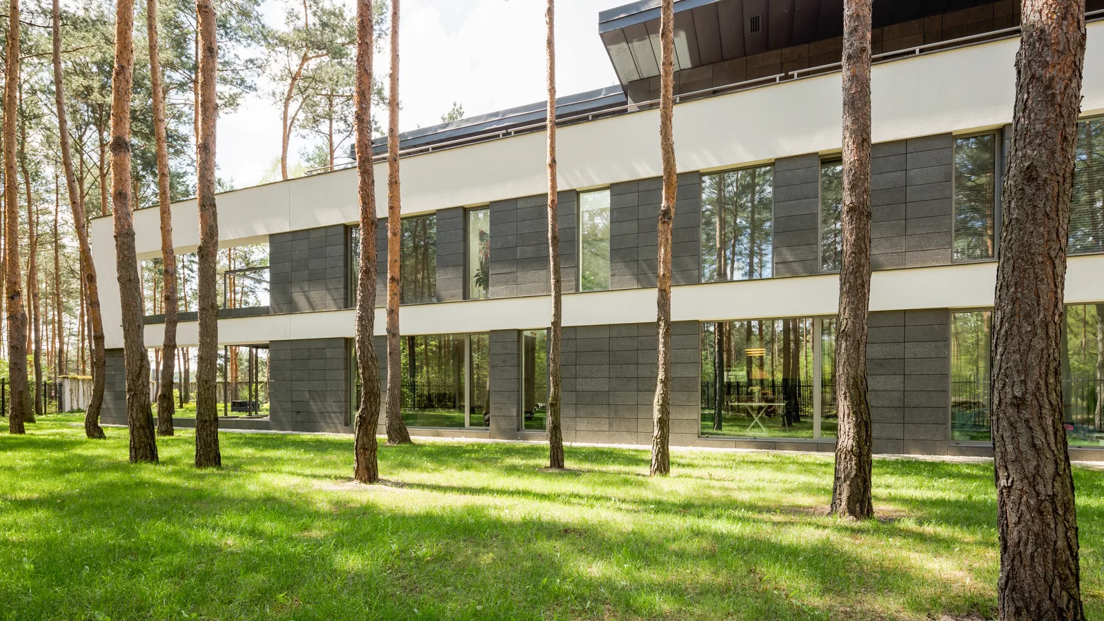 Contemporary luxury residence set within a preserved pine forest