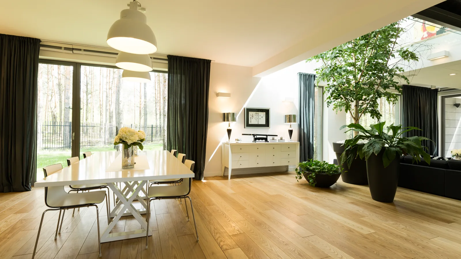 Biophilic luxury living interior with natural light, wood floors and interior planting