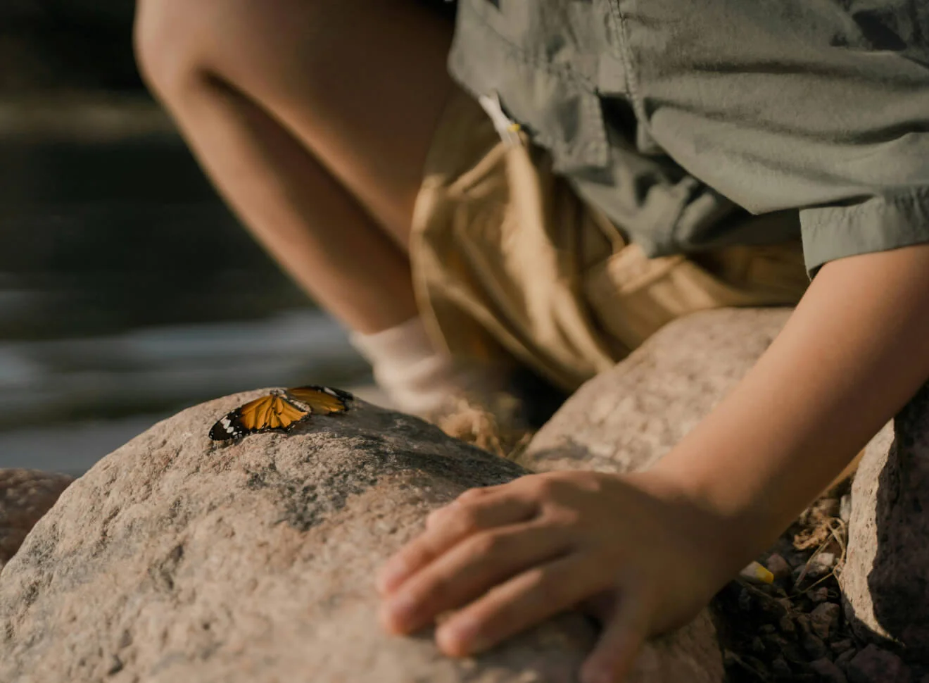 Banyan Tree Residences West Palm Beach Children's Discovery Center with a child observing a butterfly
