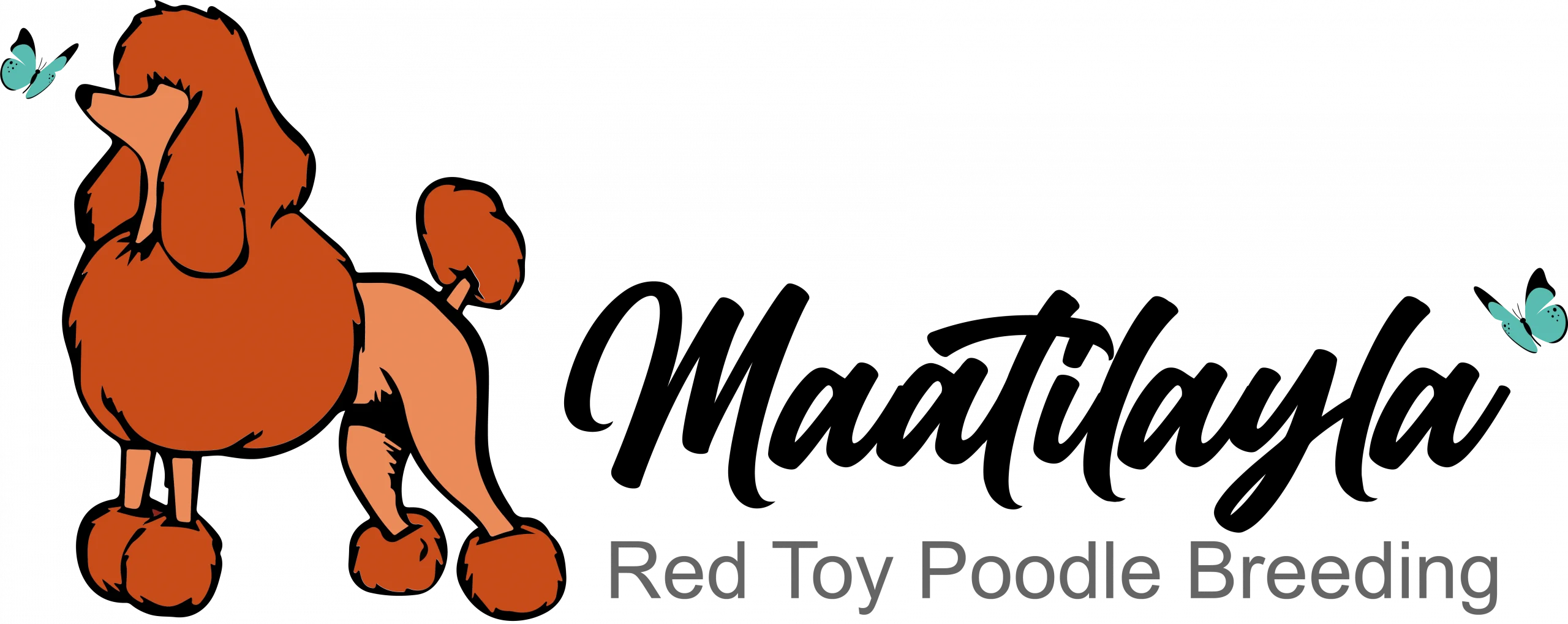 Illustration of a red toy poodle with two blue butterflies and the text 'Red Toy Poodle Breeding'.