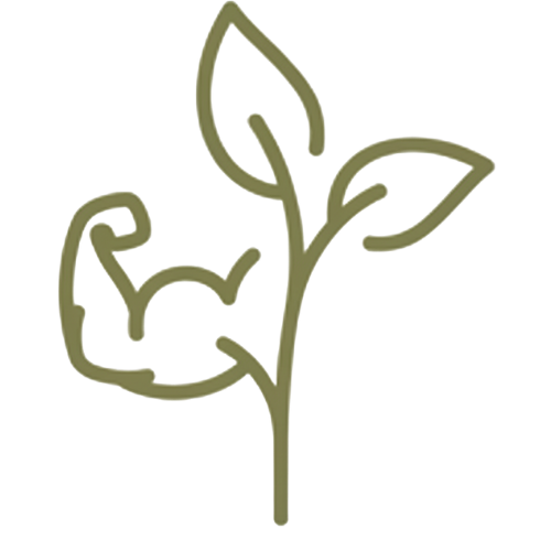 Sustainability Item Icon