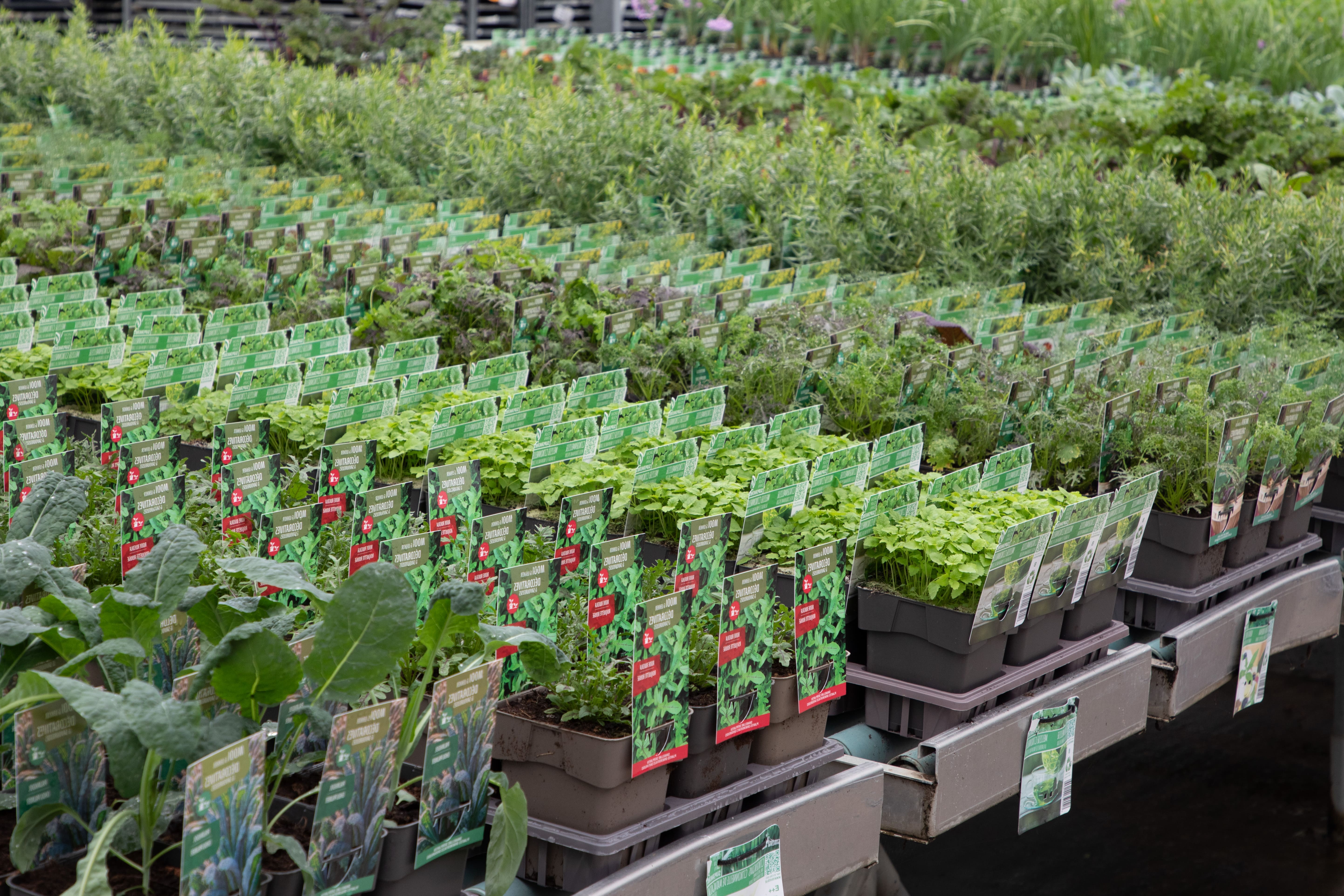 Service Card Thumbnail