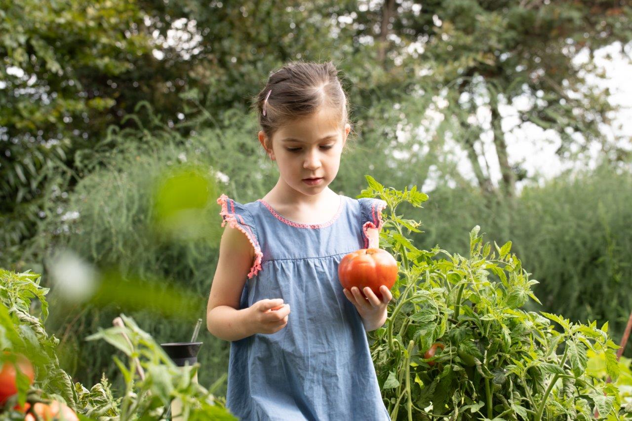 Process Item Right Image