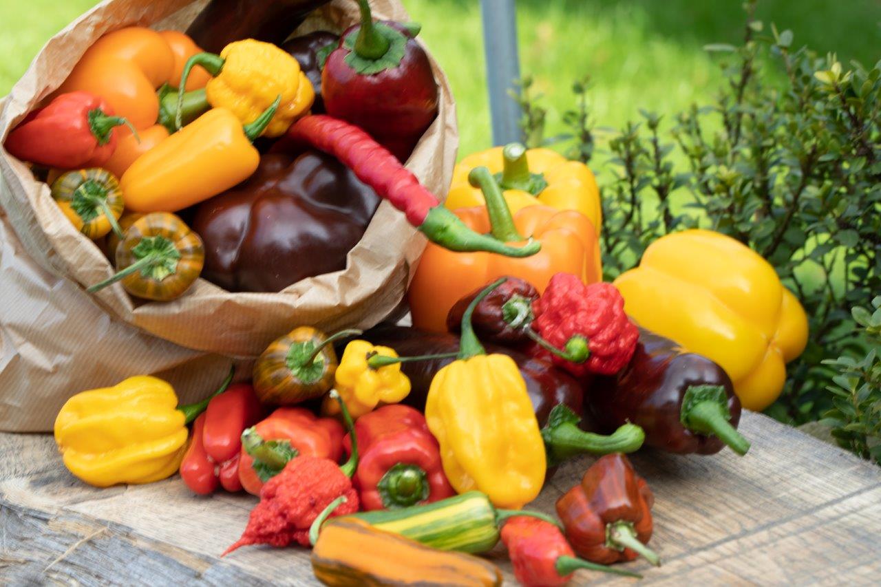 Process Item Right Image