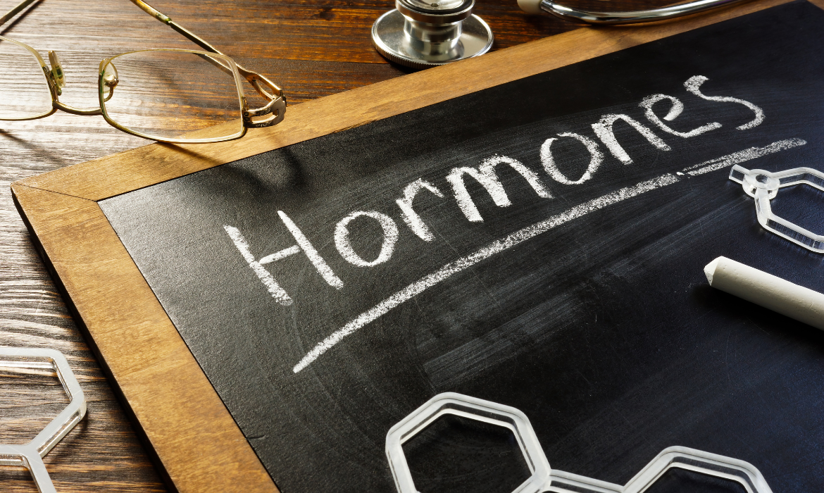 Article Single Image