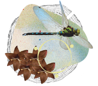 Dragonfly near leaves