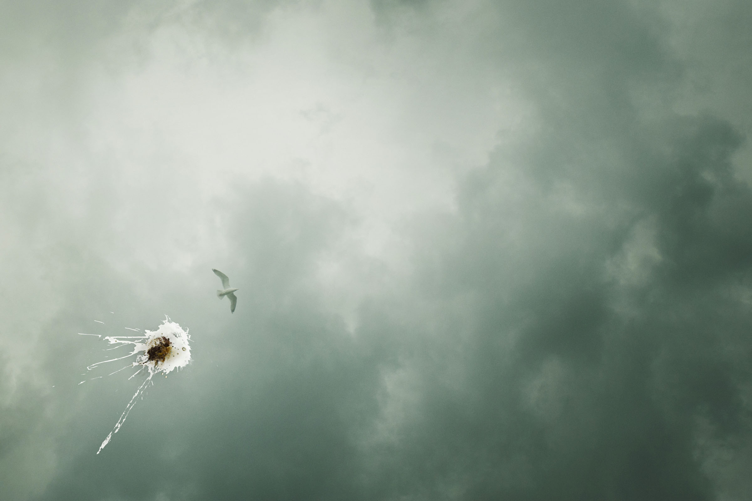 Bird droppings splattered against green storm sky beside flying seagull, Nu Finish campaign.