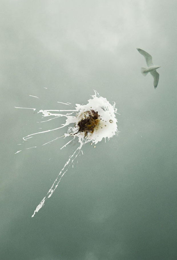 Bird droppings splattered on glossy surface reflecting storm clouds and seagull, Nu Finish campaign.