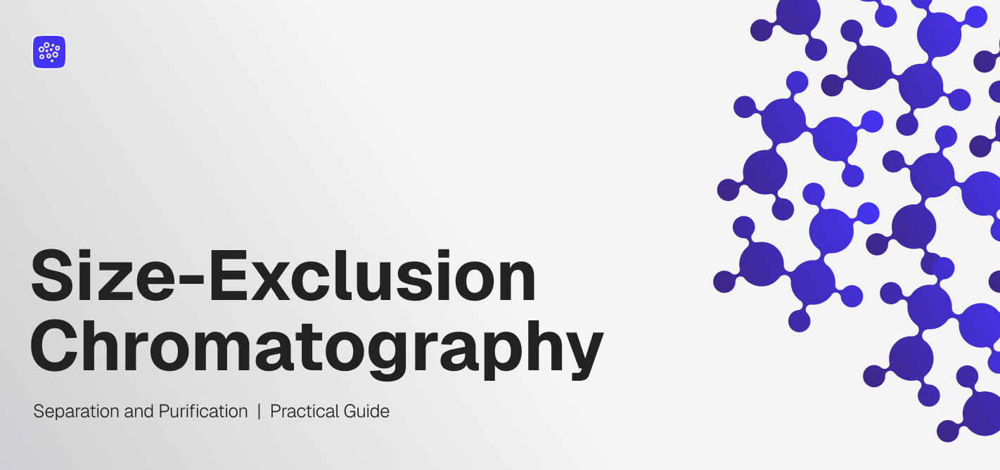Size Exclusion Chromatography: Fractionation by Hydrodynamic Volume, Not Molecular Weight