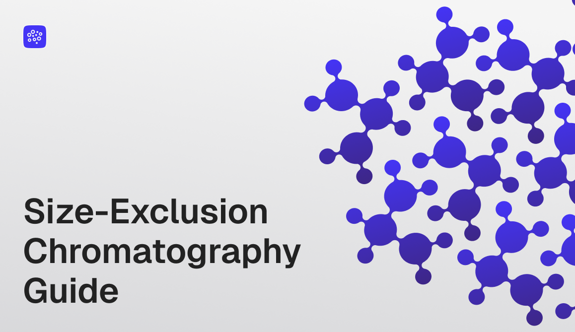 Size Exclusion Chromatography: Fractionation by Hydrodynamic Volume, Not Molecular Weight