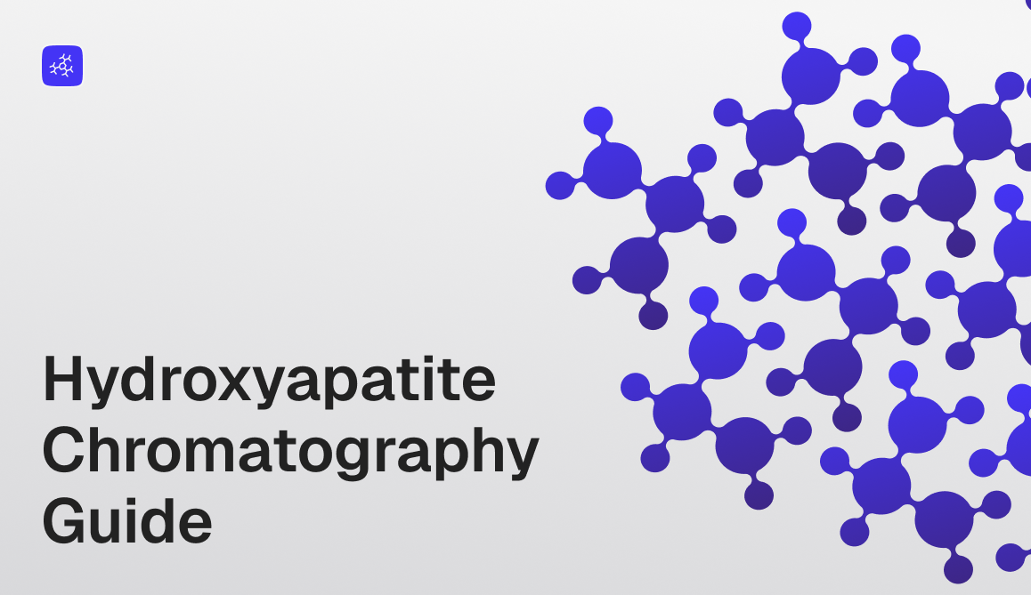 Ceramic Hydroxyapatite: The Science of Dual-Surface Separation