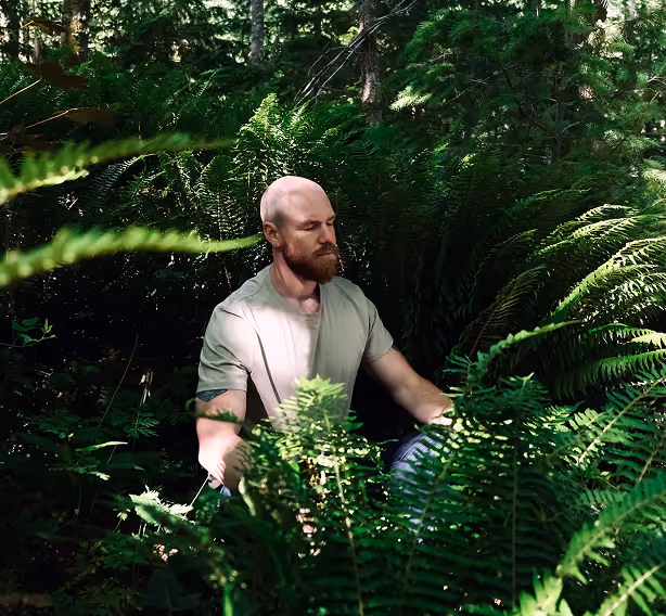 Wholesome Guide Sitting in A Forest in Meditation