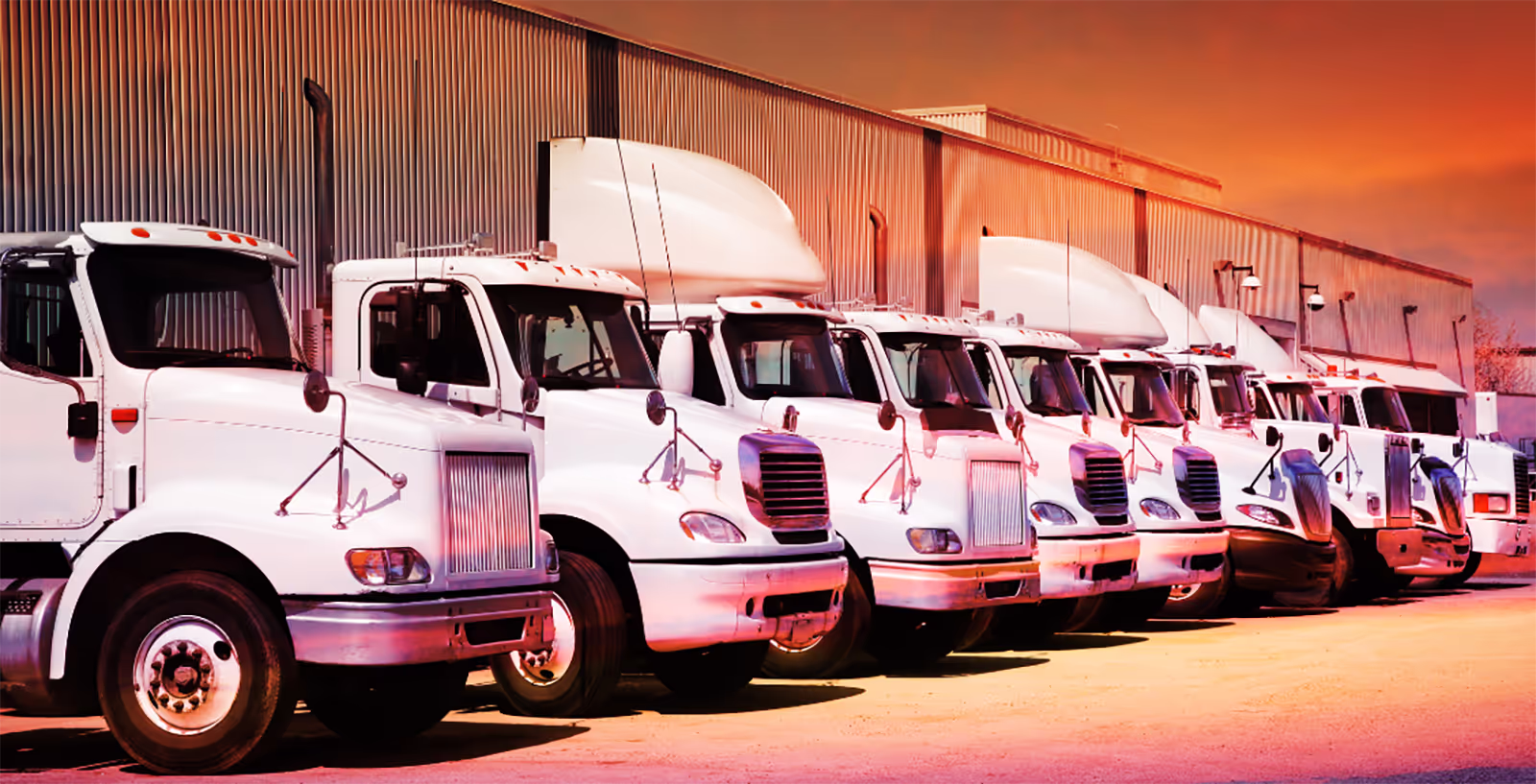 White trucks lined up in a row