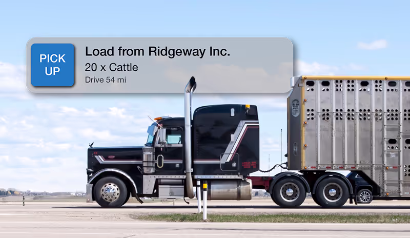 Livestock truck driving with pick up notification graphic