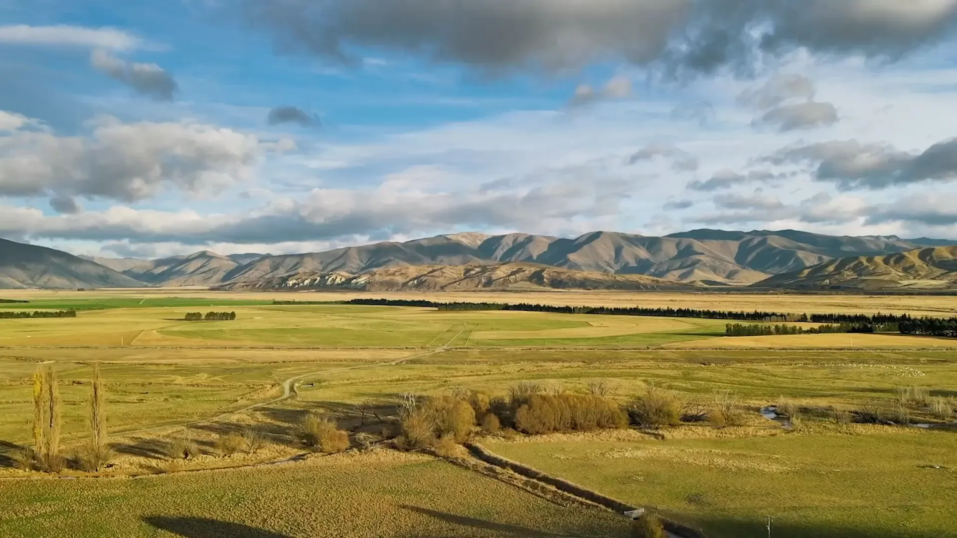 M2X and Ballance logos over a photo of New Zealand farmland