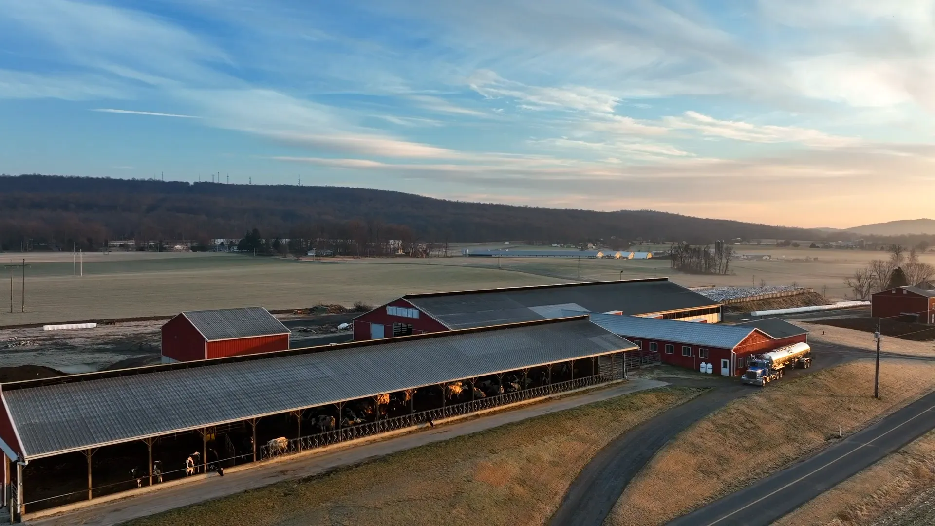 M2X and MLT logos over a photo of a dairy shed on a farm