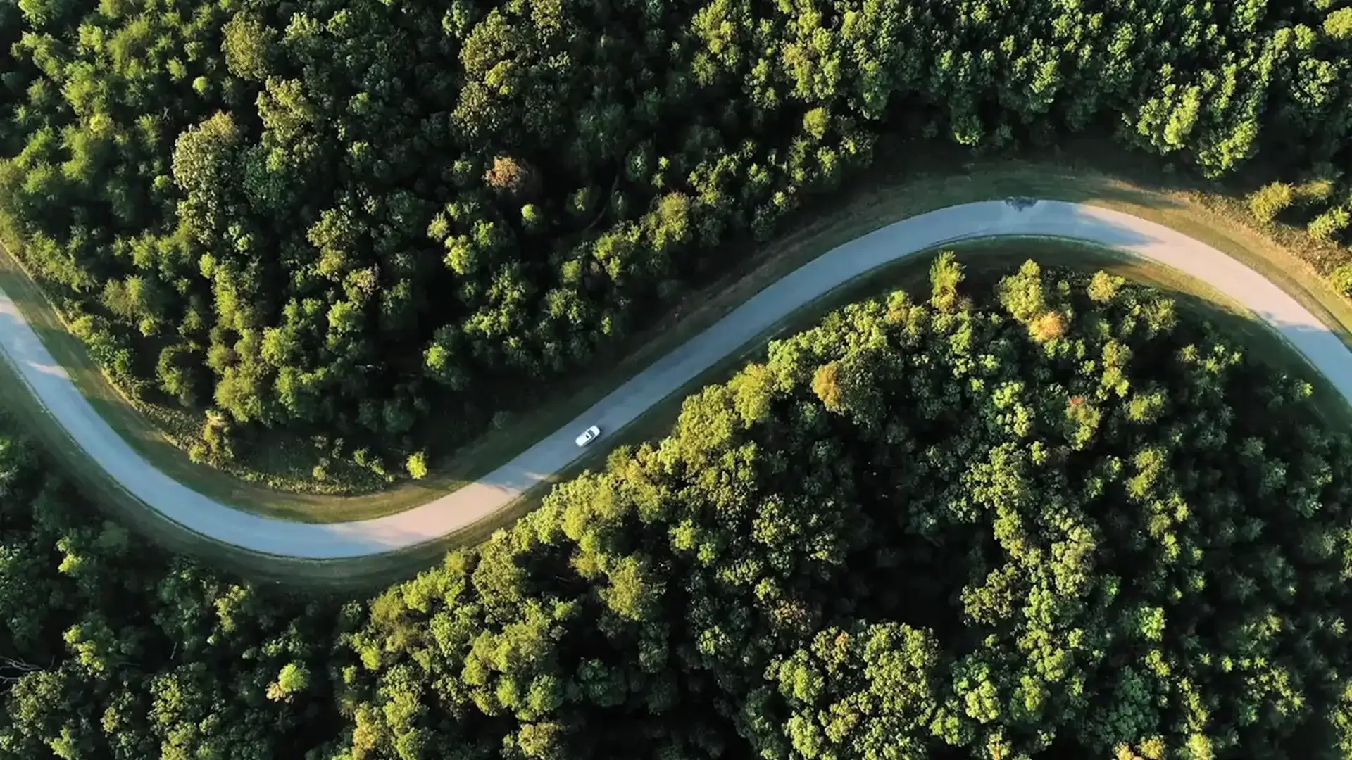 M2X and Silver Fern Farms logos over an aerial photo of a forest with a road curving through it