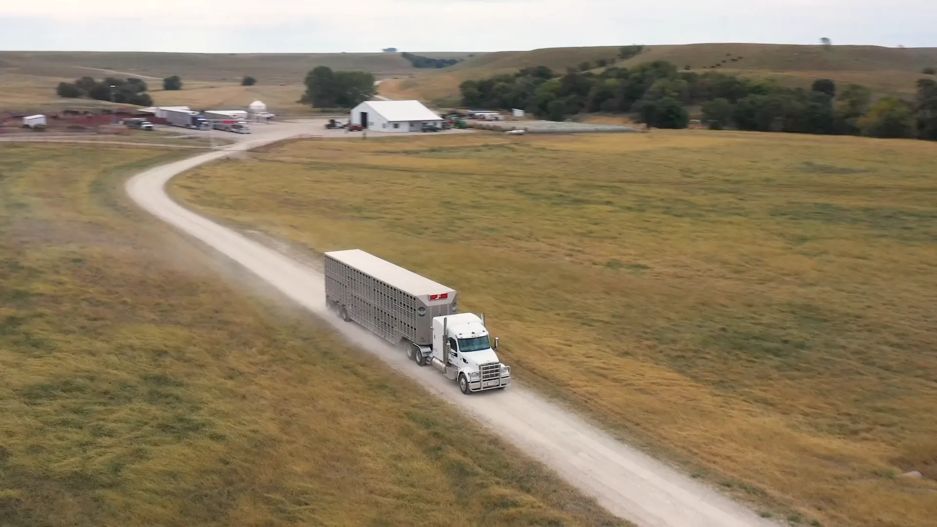 M2X and Foote Cattle Company logos over a photo of a Foote livestock truck driving along a dirt track