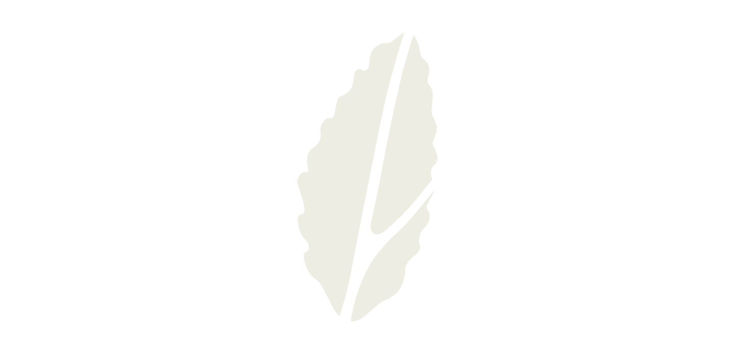 Simple olive-green leaf silhouette with serrated edges and prominent black veins on a transparent background.