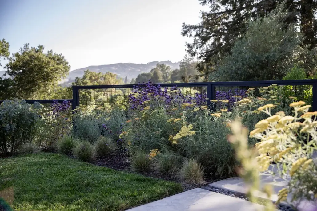 Garden with yellow and purple flowers, green grass, and a metal fence with hills in the background.