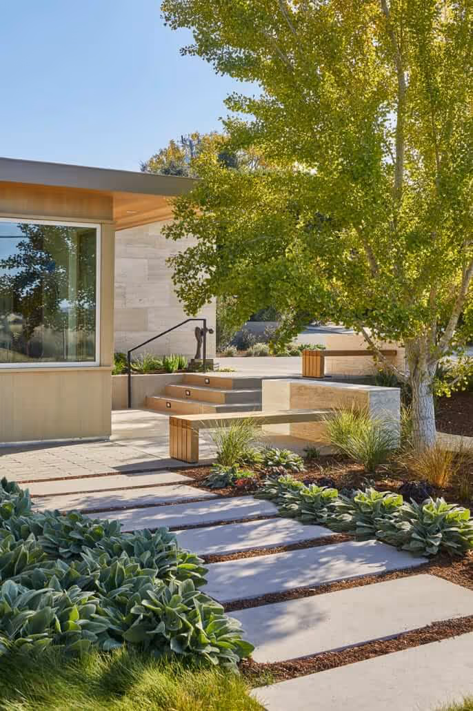 Mid-century modern home entrance with large green tree, stone walkway, and wooden bench surrounded by landscaped plants.